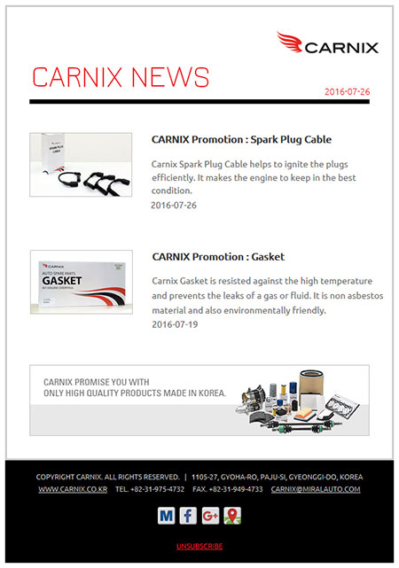 CARNIX newsletter