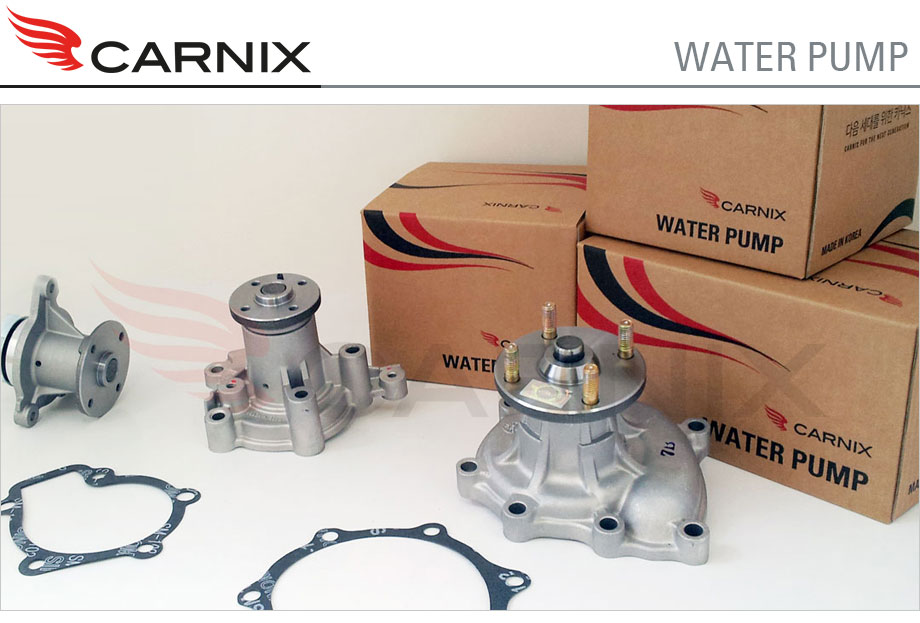 CARNIX Water Pump
