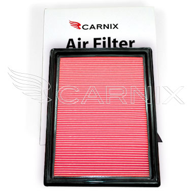 CARNIX photo - 1654673C10 FILTER ASSY-AIR